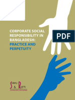 csr.pdf