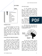 rotc_brain_function.pdf