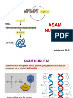 Asam Nukleat-1