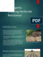 Transgenics Showing Herbicide Resistance