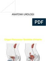 urologi