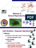 Meiosis & Sexual Reproduction: AP Biology