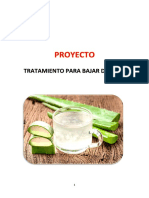 PROYECTO GANCINO