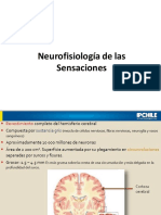 Neurofisiologia