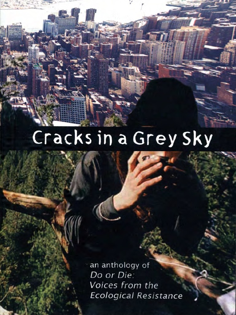 Cracks In A Grey Sky An Anthology Of Do Or Die Capitalism Anarchism