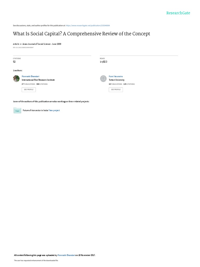 Understanding Social Capital: A Review | PDF | Social Capital | Capital ...