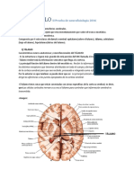 DIENCÉFALO II Prueba de Neurofisiología 2016