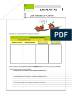 Forestal