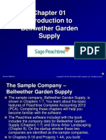Introduction To Bellwether Garden Supply: Mcgraw-Hill/Irwin