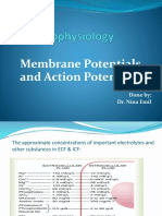 Membrane Potential