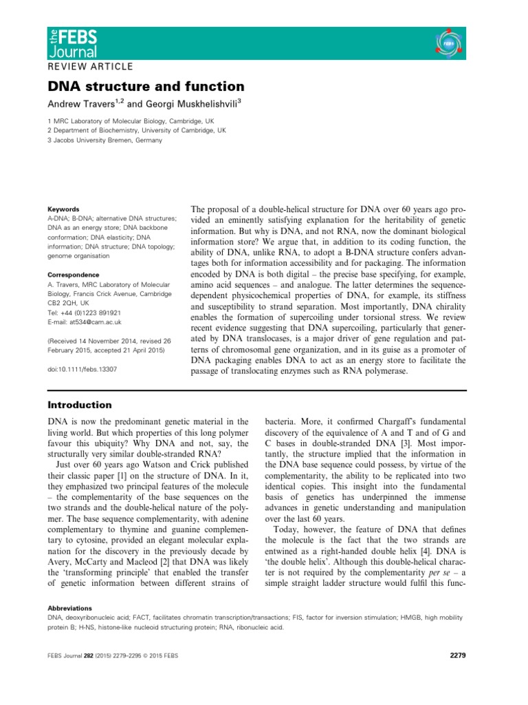 DNA Structure and Function - First Lecture (4822) | PDF | Nucleic Acid ...