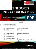 Retenedores Intracoronarios