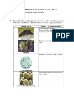 Tarea de Investigación de Ciencias Naturales