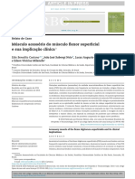 m Sculo Acess Rio Do m Sculo Flexor Superficial e Sua Implica o Cl Nica