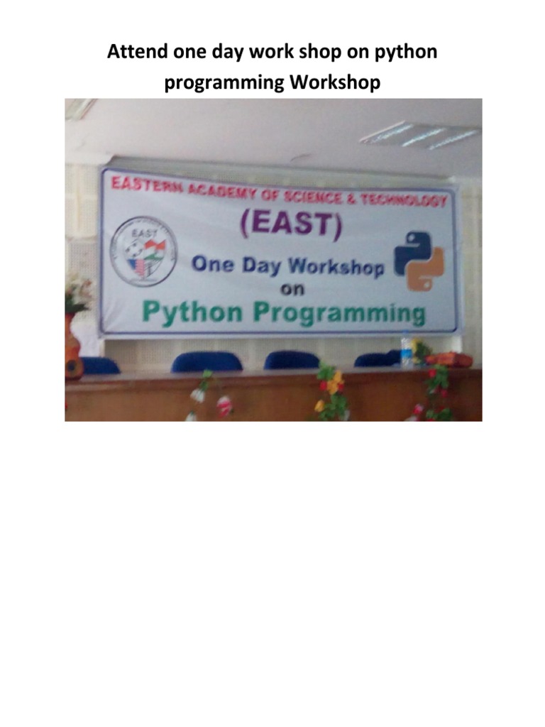 Python Programming Workshop | PDF