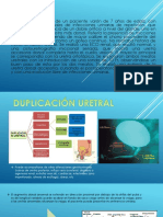 Duplicaicon Uretral