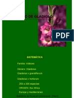 Cultivo Del Gladiolo PDF