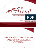 4.- INERVACIÓN Y CIRCULACIÓN SANGUÍNEA LINFÁTICA CUTÁNEA SINTESIS 1.2.ppt