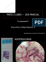 Pato Ii - Resumen Primer Parcial Labo PDF