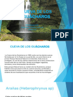 Cueva de Los Guácharos