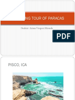 A Walking Tour of Paracas
