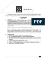 COSTUMBRISMO.pdf