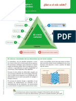 Naturales 10 Modulo 1 PDF