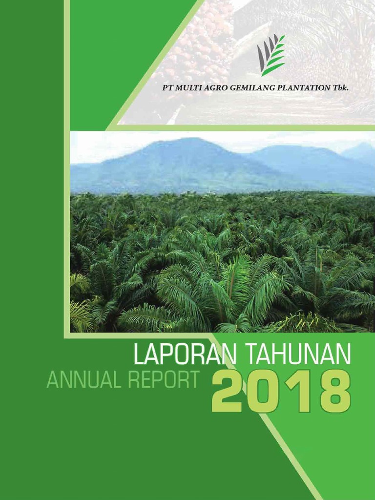 MAGP Annual Report 2018 | PDF | Equity (Finance) | Income Statement