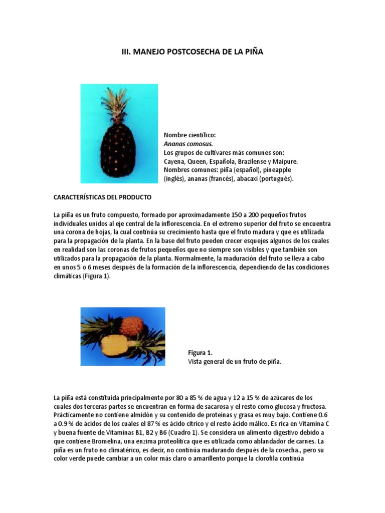 Manejo Poscosecha de La Pina FAO | PDF | Piña | Fruta