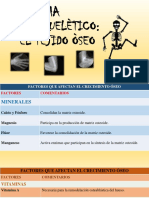 Papel Homeostasis