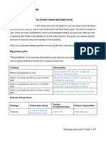 One Page Action Plan For (Insert Name and Date Here)