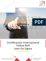 Brochure Yellow Belt - LSSI