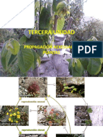 Tercera Unidad - Propagación Aexesual de Plantas PDF