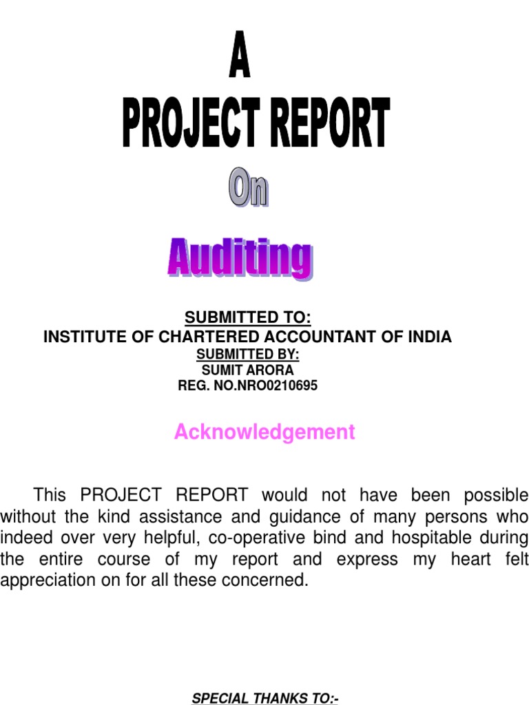 Project On Auditing | PDF | Audit | Internal Control