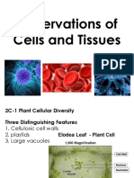 Observations of Cells and Tissues