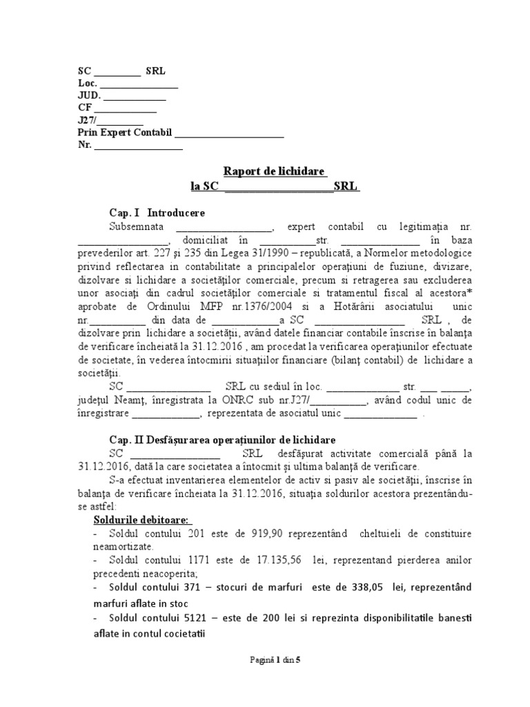 Raport Lichidare Model