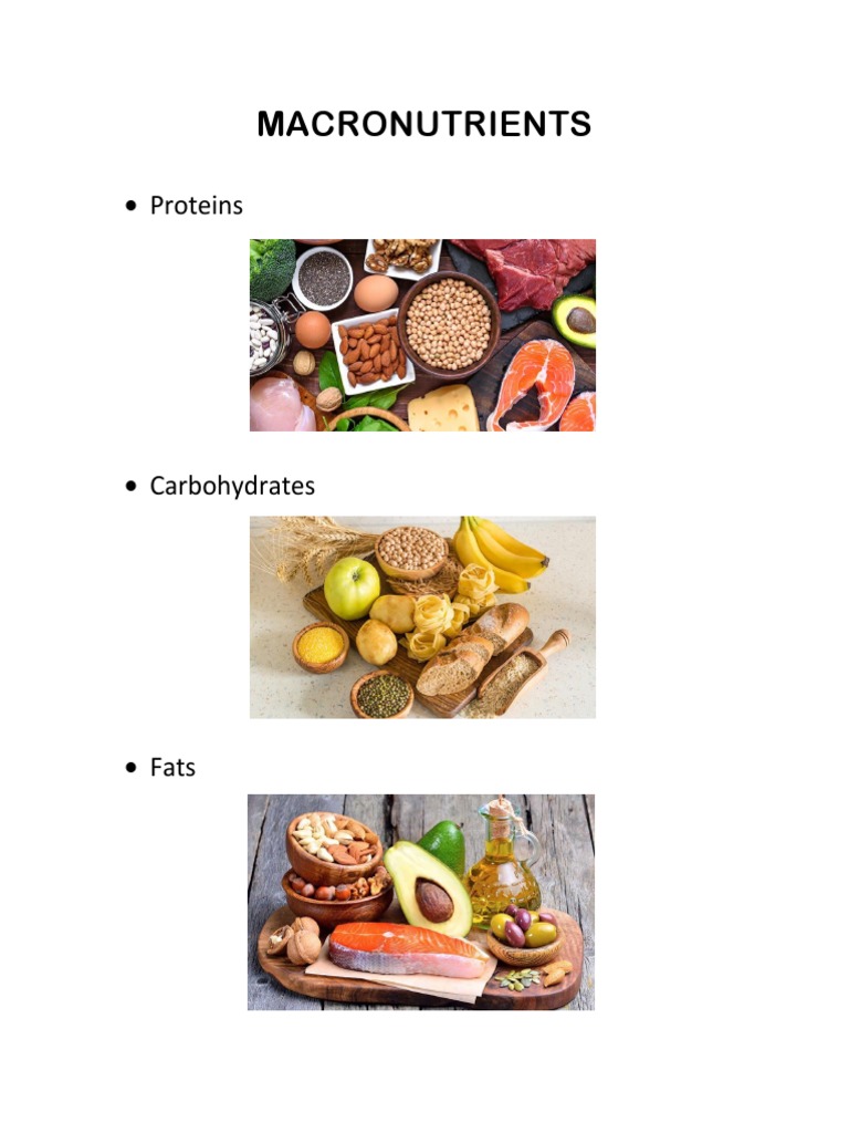 Nutrition Essentials Guide | PDF