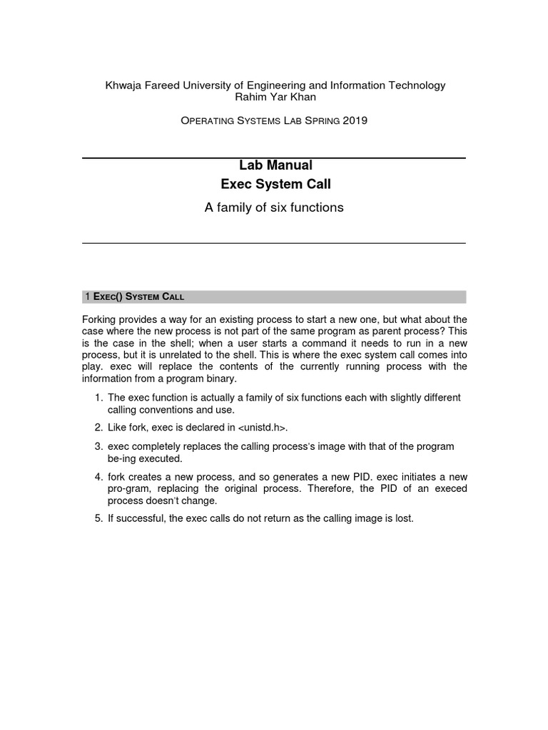 Lab Manual Exec System Call: A Family of Six Functions | Download Free ...