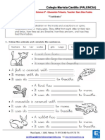 Activity 2 - Vertebrates