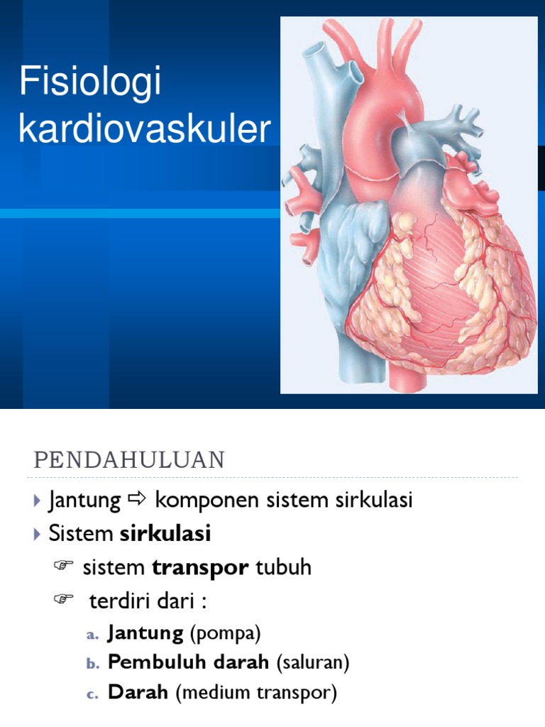 Fisiologi Kardiovaskuler PDF