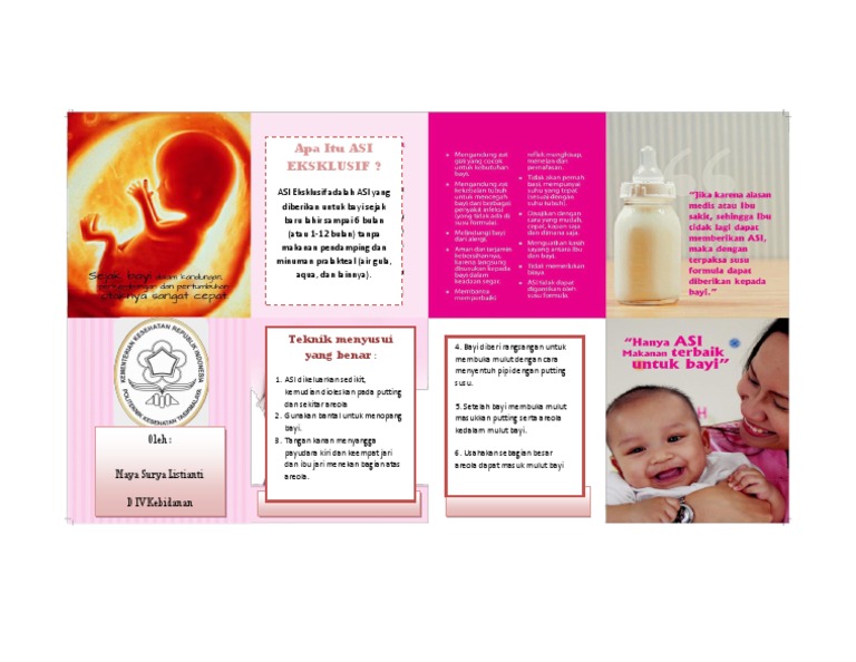 Leaflet Asi Eksklusif | PDF