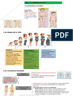 TEMA 3 La Reproducción PDF