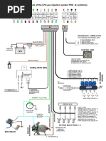 Electric Circuit Diagram of The LPG Gas Injection System PRO (4 Cylindres)