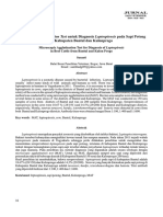 Microscopic Agglutination Test Untuk Diagnosis Leptospirosis Pada Sapi Potong