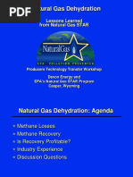 Natural Gas Dehydration