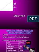 Amino Acids Metabolism &: Urea Cycle