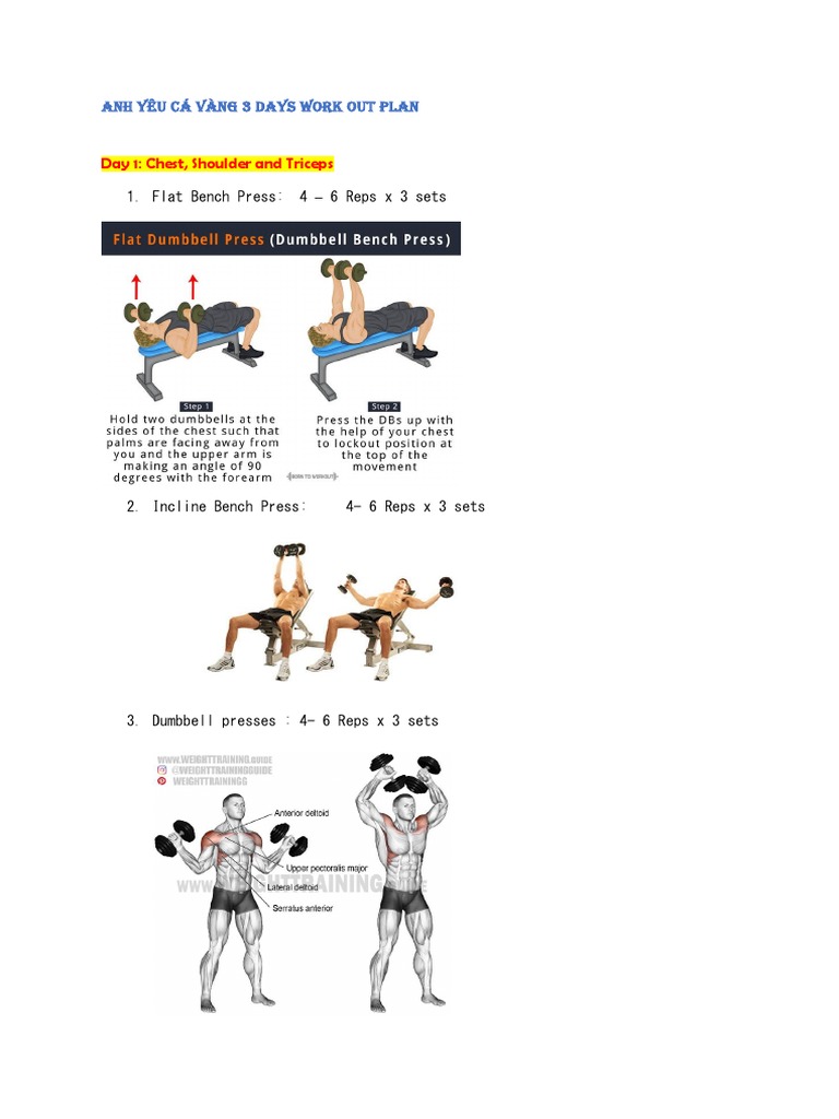 Men Exercise PDF
