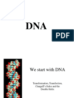 Dna Lecture