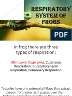 Frog Organ System