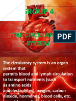 Group 4: The Circulatory System
